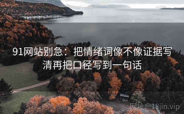 91网站别急：把情绪词像不像证据写清再把口径写到一句话