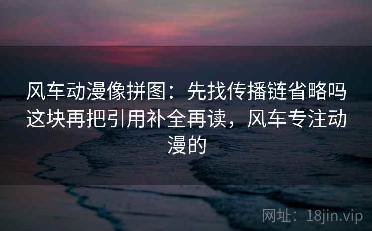 风车动漫像拼图：先找传播链省略吗这块再把引用补全再读，风车专注动漫的